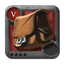 Expert's Bag