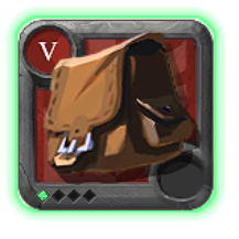 Expert's Bag