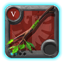 Expert's Nature Staff