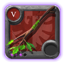 Expert's Nature Staff
