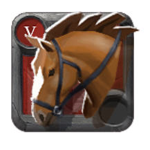 Expert's Riding Horse