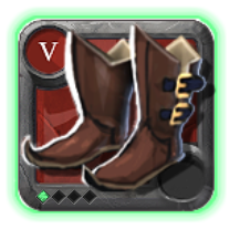 Expert's Hunter Shoes