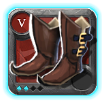 Expert's Hunter Shoes