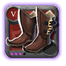 Expert's Hunter Shoes