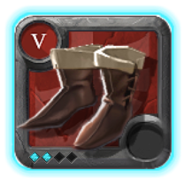 Expert's Assassin Shoes