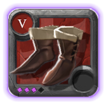 Expert's Assassin Shoes
